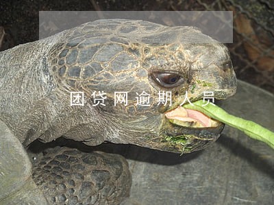 团贷网逾期人员 团贷网逾期人员