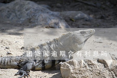 团贷网逾期会有利息吗 团贷网逾期会有利息吗