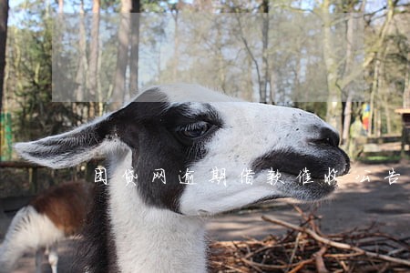 团贷网逾期借款催收公告名单