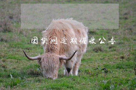 团贷网逾期催收公告 团贷网逾期催收公告