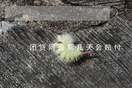 团贷网逾期几天会赔付 团贷网逾期几天会赔付