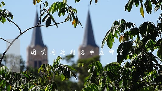 团贷网逾期名单在哪里查 团贷网逾期名单在哪里查