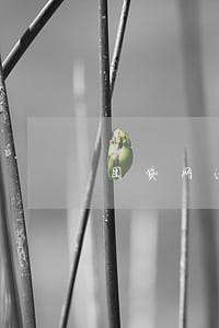 团贷网逾期后的投资人怎么办 团贷网逾期后的投资人怎么办