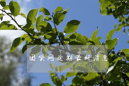 团贷网逾期最新消息 团贷网逾期最新消息