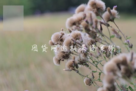 团贷网逾期未还案例 团贷网逾期未还案例