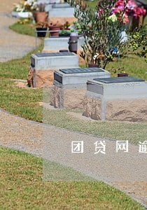 团贷网逾期率在哪看 团贷网逾期率在哪看