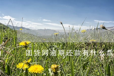 团贷网逾期还款有什么后果 团贷网逾期还款有什么后果