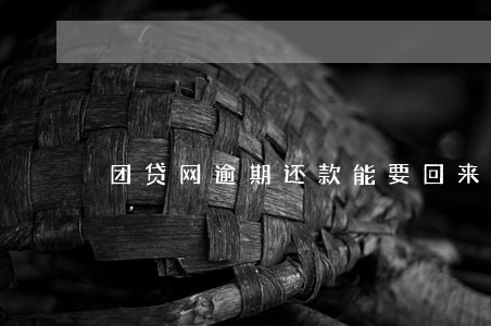 团贷网逾期还款能要回来吗 团贷网逾期还款能要回来吗