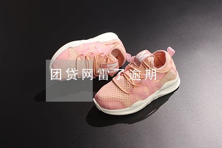 团贷网雷了逾期 团贷网雷了逾期