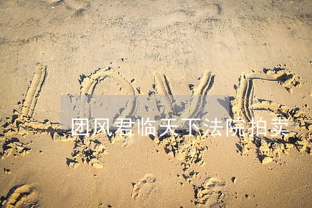 团风君临天下法院拍卖 团风君临天下法院拍卖