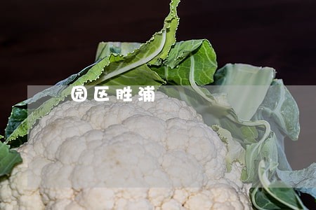 园区胜浦 园区胜浦