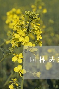 园林法规的适用原则 园林法规的适用原则