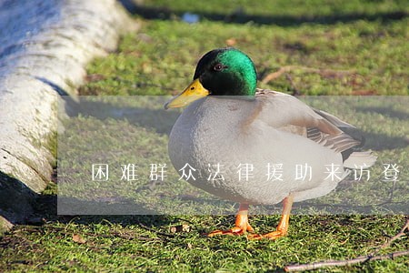 困难群众法律援助来访登记 困难群众法律援助来访登记