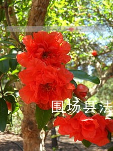 围场县法律援助 围场县法律援助