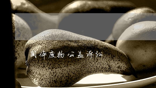 固体废物公益诉讼 固体废物公益诉讼