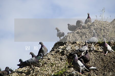 固原xx交通事故诉讼程序