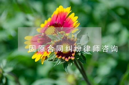 固原合同纠纷律师咨询 固原合同纠纷律师咨询