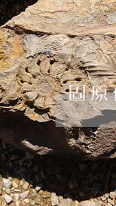 固原在线法律咨询免费 固原在线法律咨询免费