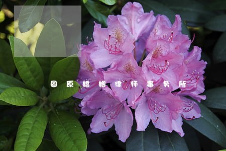 固原婚姻律师事务所 固原婚姻律师事务所
