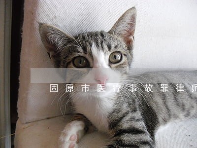 固原市医疗事故罪律师 固原市医疗事故罪律师