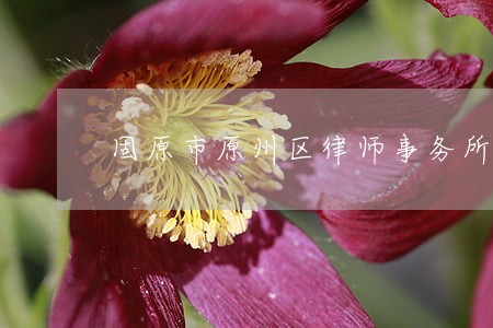 固原市原州区律师事务所 固原市原州区律师事务所