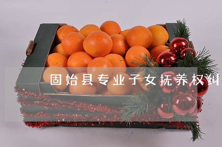 固始县专业子女抚养权纠纷律师 固始县专业子女抚养权纠纷律师