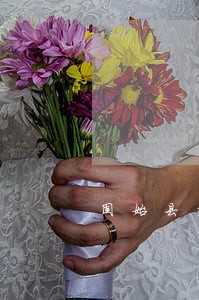 固始县交通案律师费用标准 固始县交通案律师费用标准