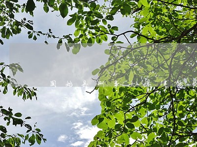 固始县刑事大案律师费用多少 固始县刑事大案律师费用多少
