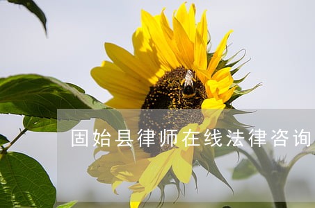 固始县律师在线法律咨询服务 固始县律师在线法律咨询服务
