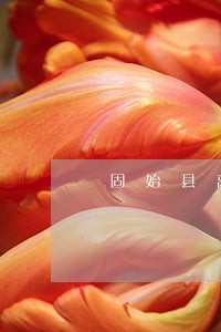 固始县离婚律师服务平台 固始县离婚律师服务平台