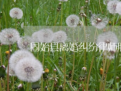 固始县离婚纠纷律师服务网站