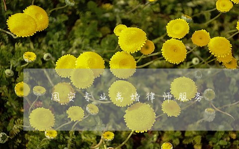 固安专业离婚律师服务 固安专业离婚律师服务