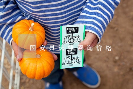 固安县法律咨询价格 固安县法律咨询价格