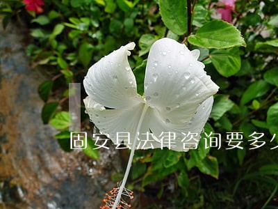 固安县法律咨询要多少钱 固安县法律咨询要多少钱