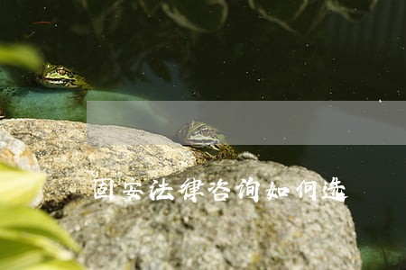 固安法律咨询如何选 固安法律咨询如何选