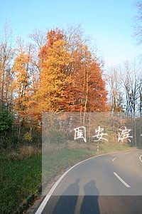 固安涂律师 固安涂律师