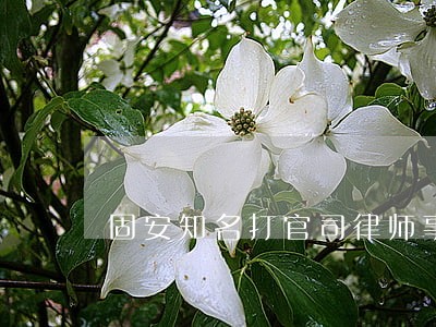 固安知名打官司律师事务所排名 固安知名打官司律师事务所排名