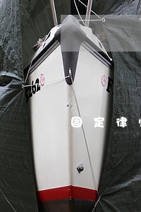 固定律师