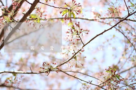 固定资产进项税抵扣相关法规 固定资产进项税抵扣相关法规