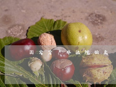 固定资产非法院拍卖 固定资产非法院拍卖