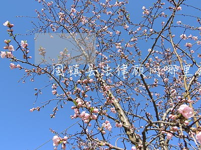 固镇县法律顾问哪里找 固镇县法律顾问哪里找