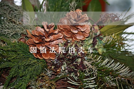 固镇法院拍卖车 固镇法院拍卖车