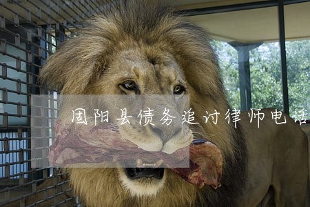 固阳县债务追讨律师电话 固阳县债务追讨律师电话