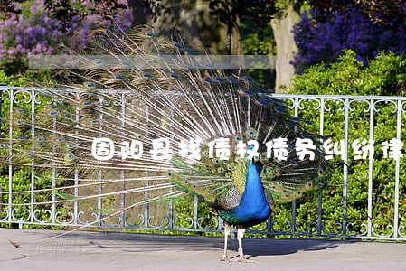 固阳县找债权债务纠纷律师 固阳县找债权债务纠纷律师