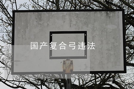 国产复合弓违法 国产复合弓违法