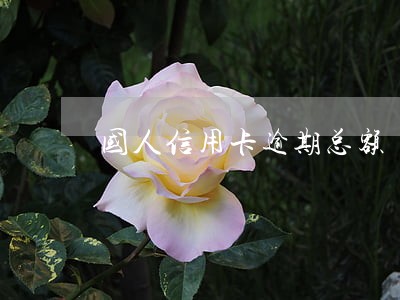 国人信用卡逾期总额 国人信用卡逾期总额