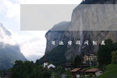 国企公司法律顾问制度 国企公司法律顾问制度