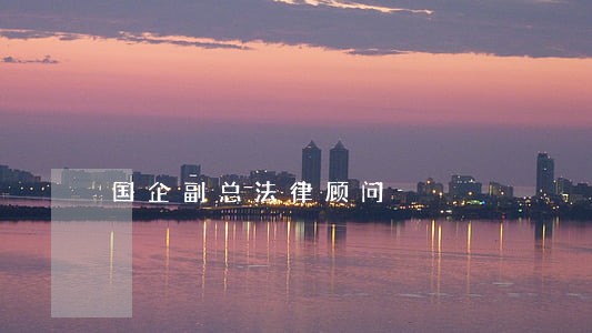 国企副总法律顾问 国企副总法律顾问