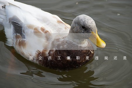 国企员工兼职是违规还是违法 国企员工兼职是违规还是违法