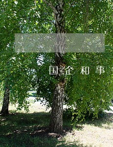 国企和事务所哪个好 国企和事务所哪个好